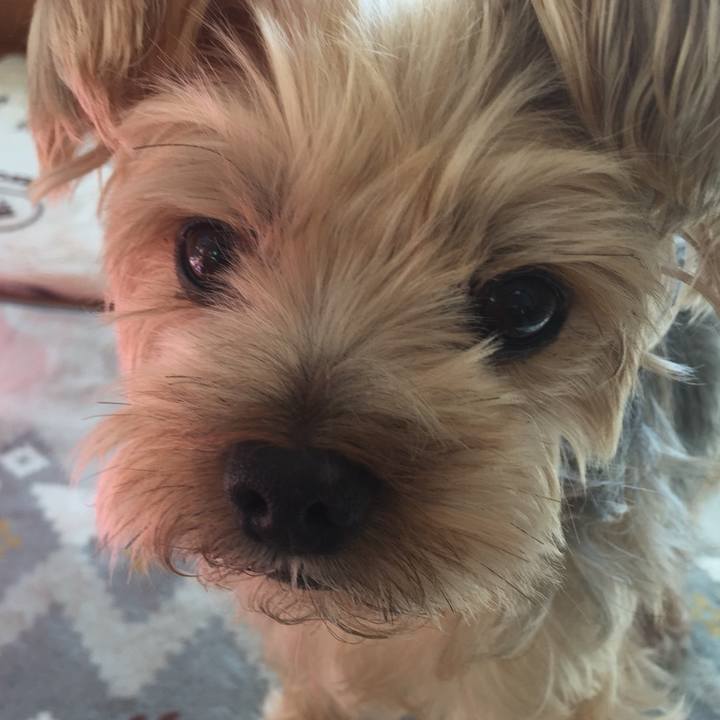 2dc0ac11 59ea 4fdf a5b6 c43db99bb4e0 1541234178454