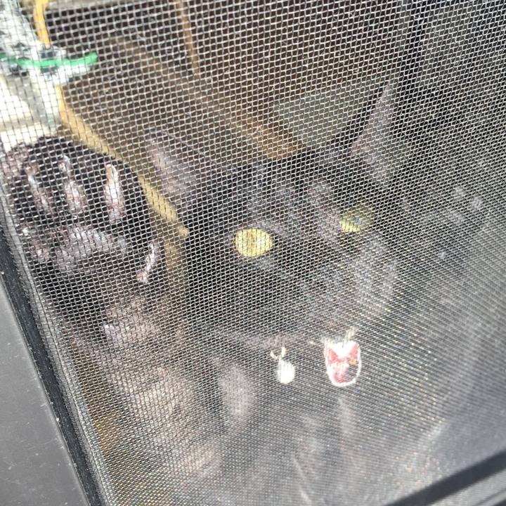 2dc0b023 7de0 4885 89dd dce949d8f865 1519701485690