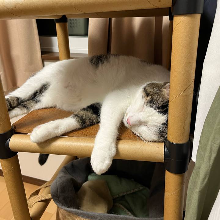 2dc1442b aae8 4b93 863a e52e42d23152 1659968665226