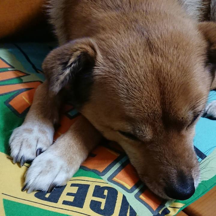 2dc188db defc 4a1f 8419 0a83b55535a0 1548749036659