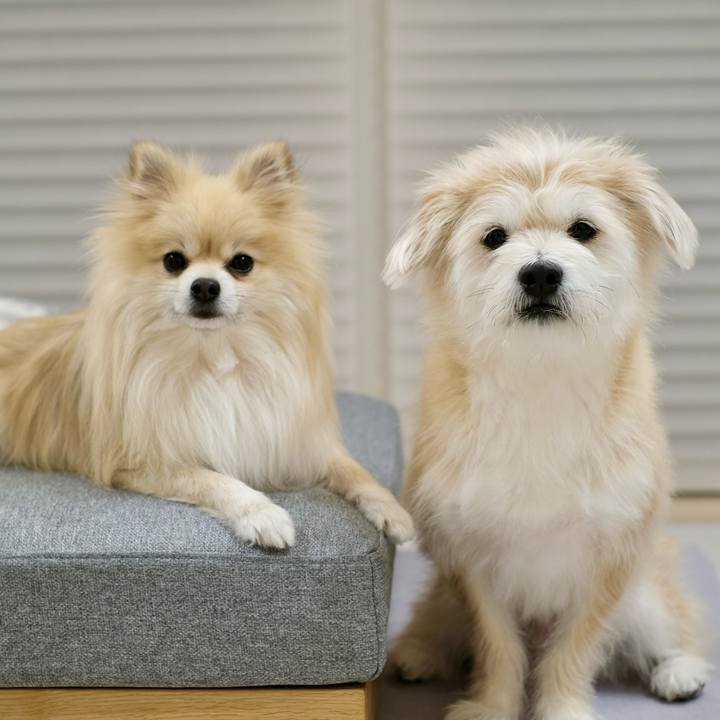 2dc1ab17 f74c 4cce bb55 4e0607af84f1 1770848000834