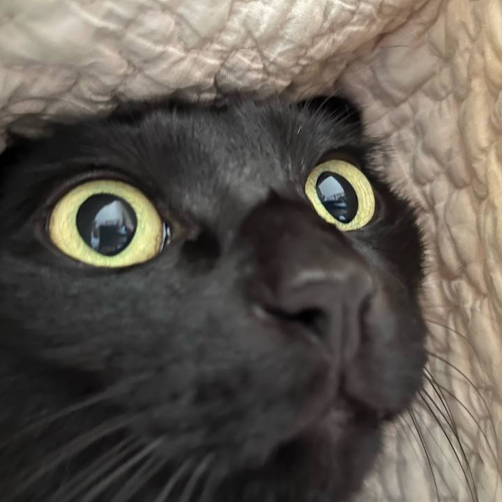 2dc1c175 f227 4fca 9e57 b8b140a5465b 1698107827578