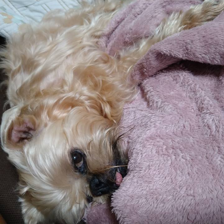 2dc1c914 a19f 4c1a a9f2 5ae32f425e7d 1645329534127