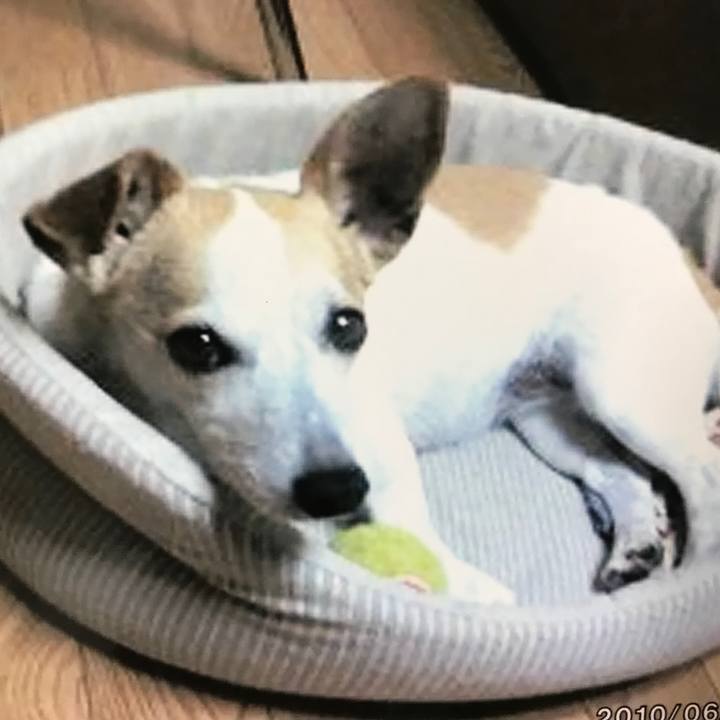 2dc247bb 1e77 45d7 b9e7 6b304ed7956f 1538050779829