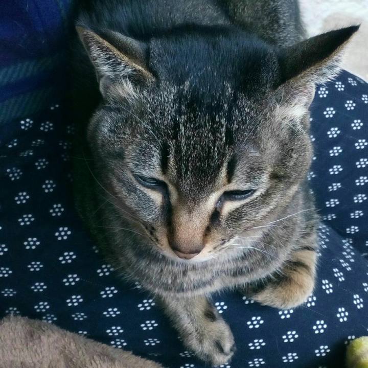 2dc2491e f56b 4f02 811a 59733b310f43 1524462369175