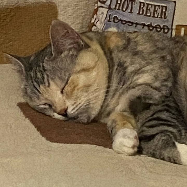 2dc259bf 301b 4628 bed7 ed0833135aa6 1687379191528