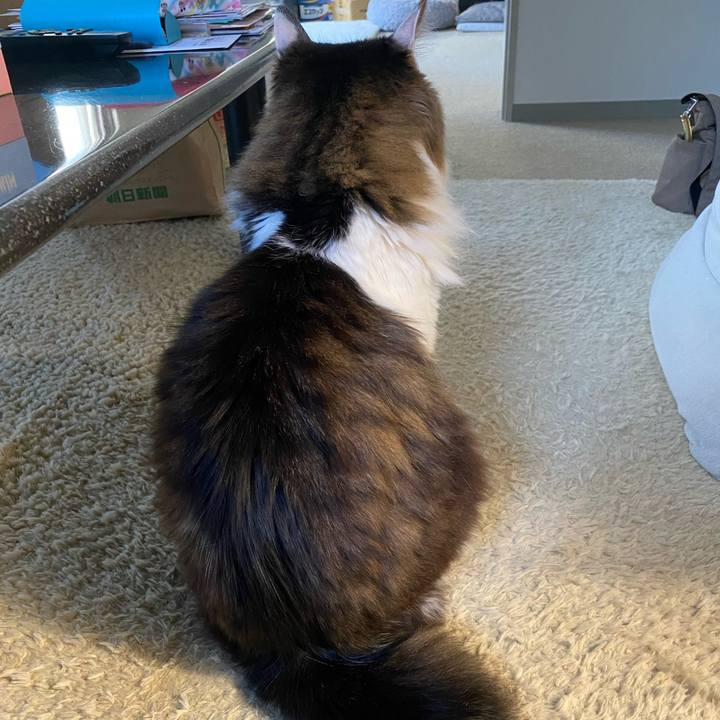 2dc2862f 8b8c 4a0f 8627 54ddac5b1332 1736047157187