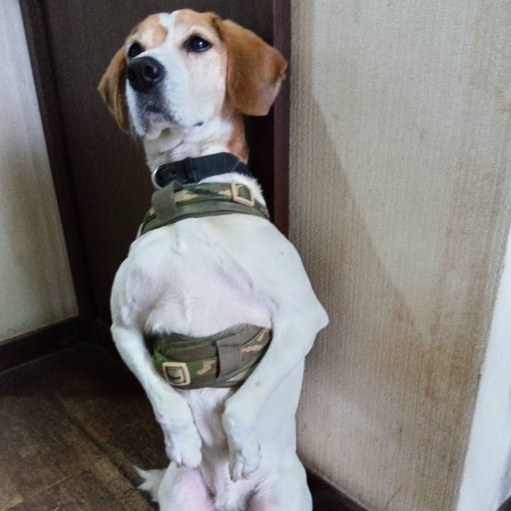 2dc29337 043a 4af4 8a72 f3fccd6d2c26 1736328431445