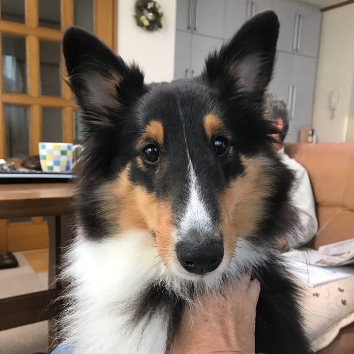 2dc2d6e6 6150 4a6a 91c7 3611c4cc9161 1541541619058