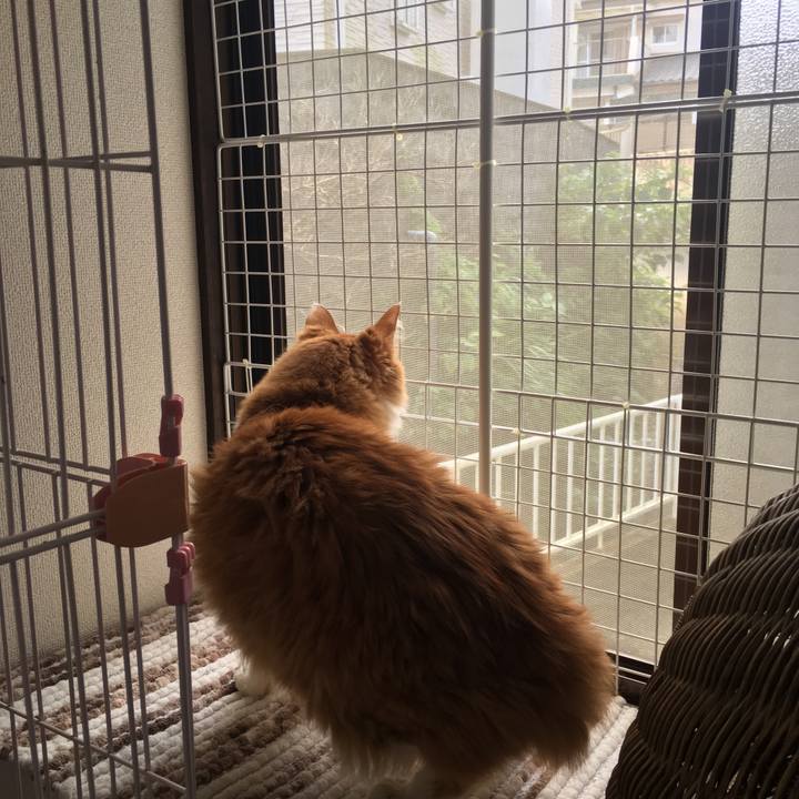 2dc323af c5c3 4334 a097 17fc2890f3dd 1567998452202