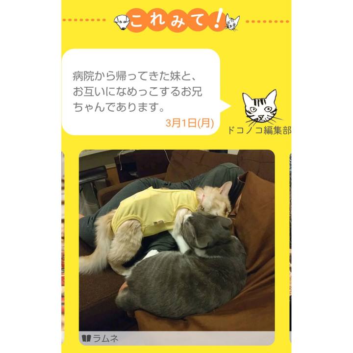 2dc32710 e8c1 4cd7 b2cf f85e4d04e254 1614571586075