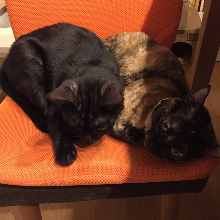 2dc3313d 8996 4739 8e5a d507044636e3 1510672159010