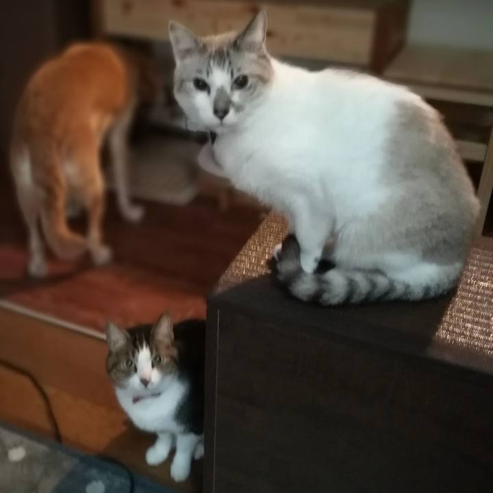 2dc33dd2 a221 49d6 a90a 48adf2fde1a7 1545779118637