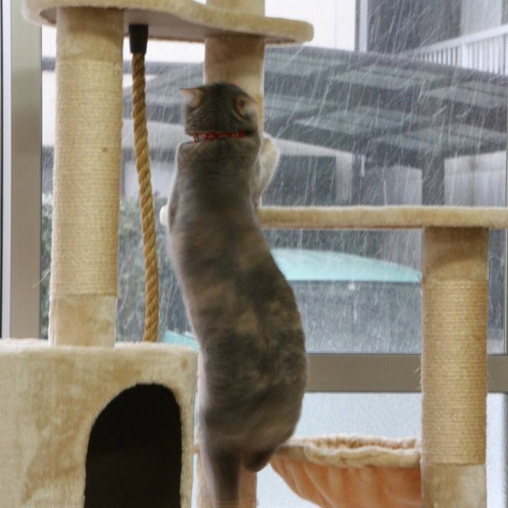 2dc359fa c8ee 4eeb a9a5 7f0a87109d9d 1517802869230