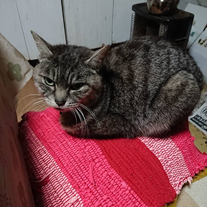 2dc35f0b 8826 4839 a6aa e97dc9ac3837 1553246221769