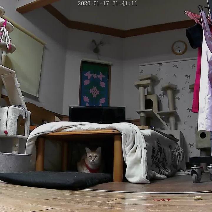 2dc3bdeb 0cef 4fe9 838d f728e9846777 1579264952066