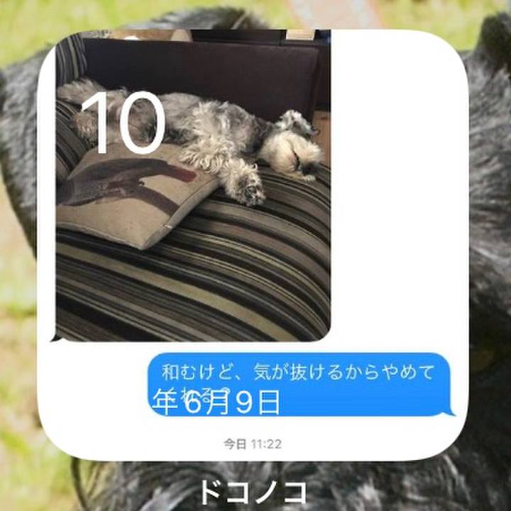 2dc3f14c 59ba 42a4 b769 32bfdc02c411 1654872589492