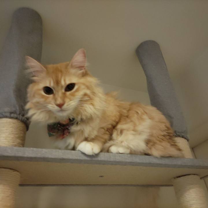 2dc468ea 1e0e 4301 b966 c4d600c55074 1661430278927