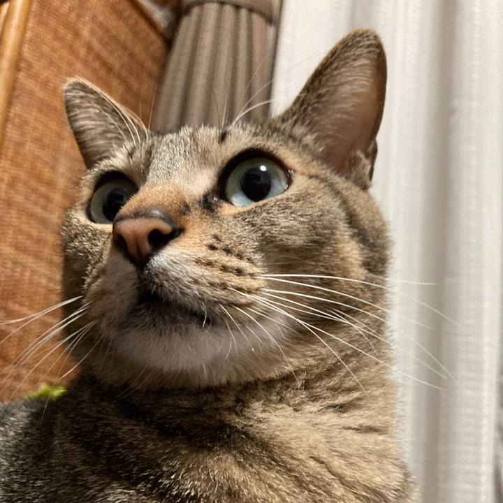 2dc4c8f7 7f92 4d80 a164 6669014b76f2 1772144672503