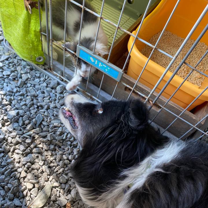 2dc4cf77 f4f6 425d be4a ff4f1f7152de 1632118686588