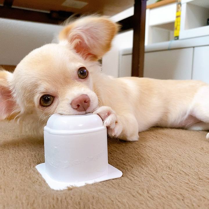 2dc4ff57 b37d 4c41 bc40 414b2afe747e 1595904662718