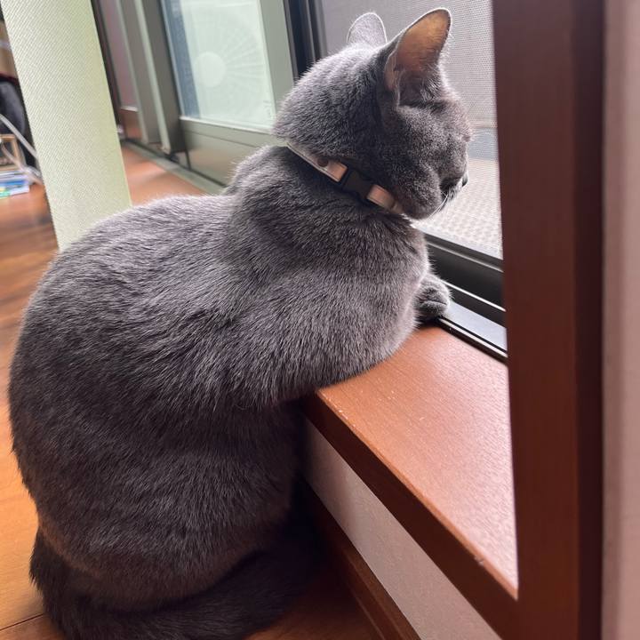 2dc53485 2c0d 432b bc54 b86f22f60187 1685505264283