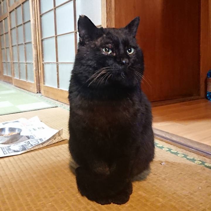 2dc5560a 8d6f 40a4 9602 ca891a272162 1616236685181