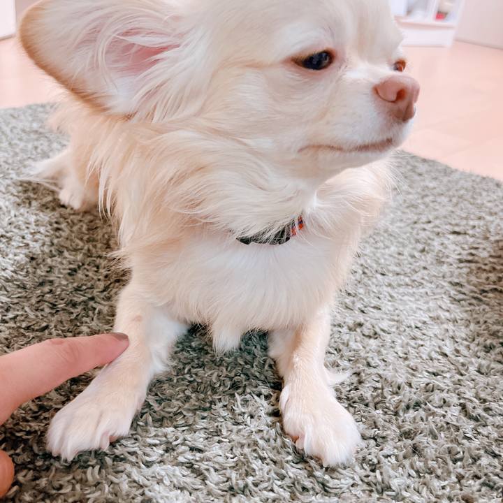 2dc565b8 30c3 4cef 9fd0 5026052564d5 1654590098769