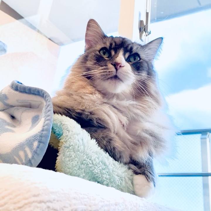 2dc597b5 59a9 4a3e b342 f5842b756f30 1762907915588