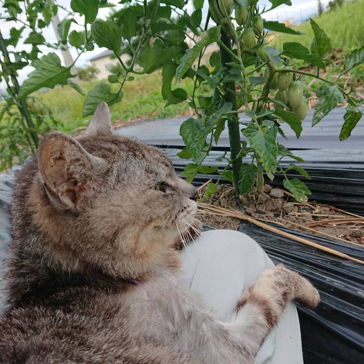 2dc60637 ee3f 489a 983a ebd837f93aad 1592991638442