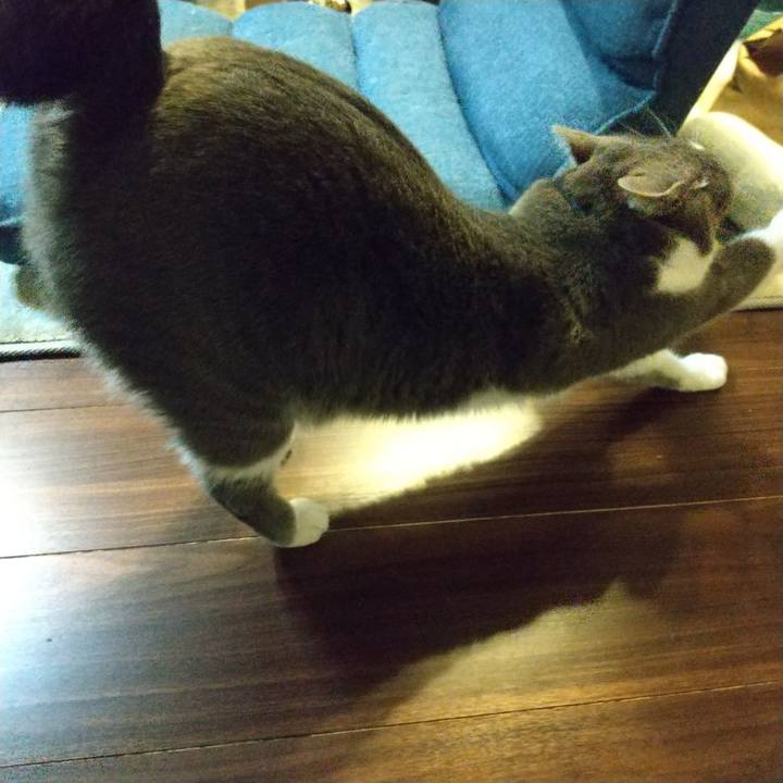 2dc61ed1 6a94 442c 9a3b a3bdb52bf7d7 1650032489670