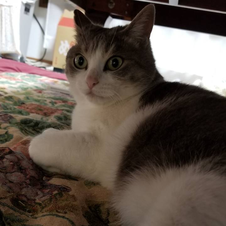 2dc623d3 c250 4a9c 9372 1ac574e84f04 1527935336366