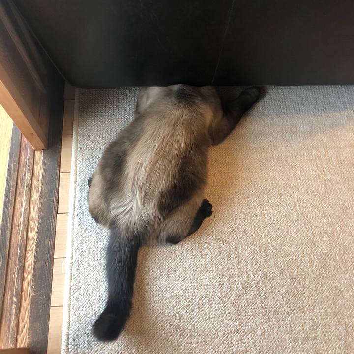 2dc63159 dc43 458b a6bc 4b8929711437 1630555848094