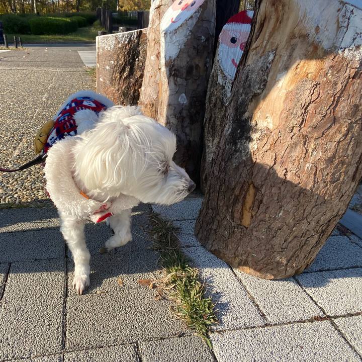 2dc634f0 b6a8 4d01 9023 1e20e639483e 1700739401656