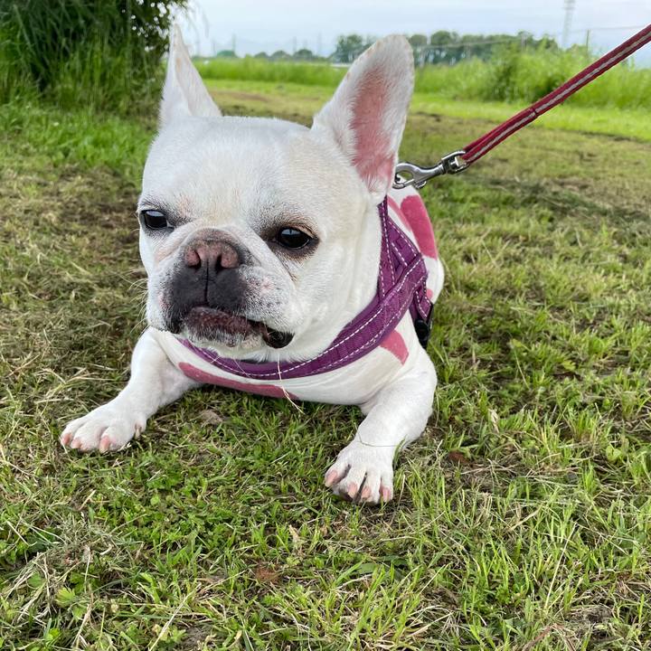 2dc63830 3291 4f9c 9722 c5720f0d90d4 1746952618270