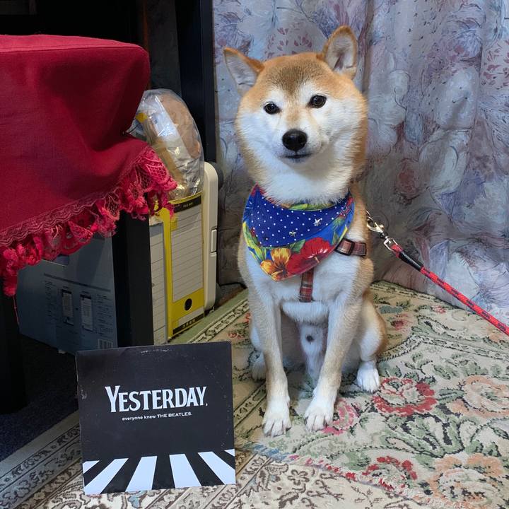 2dc65e69 eebe 4ba1 8085 41a8fb106d82 1571131409126