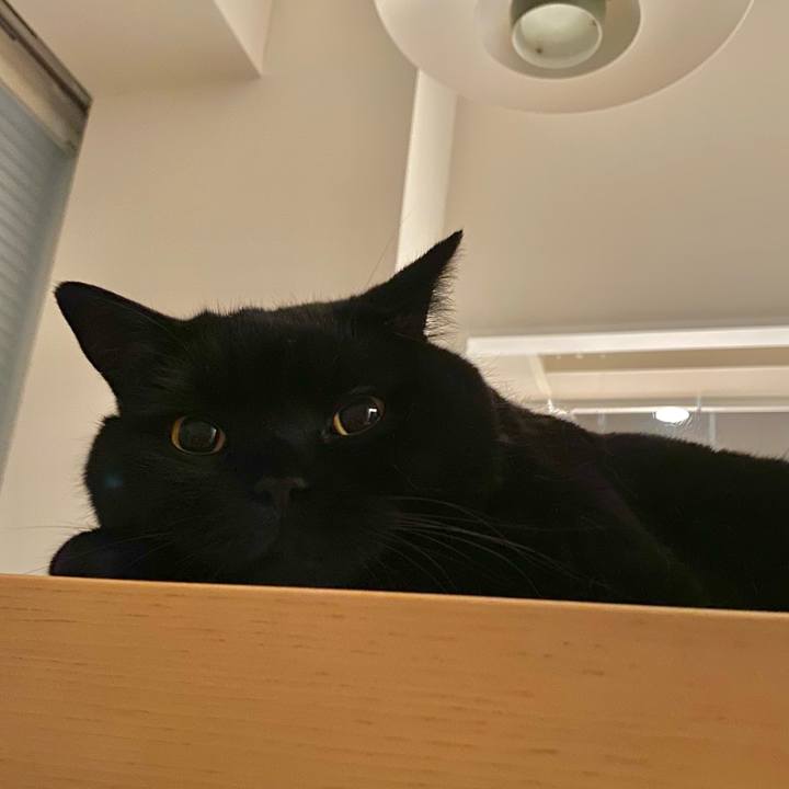 2dc667e0 d826 4339 b5c1 c6052f76c7a0 1687613351443