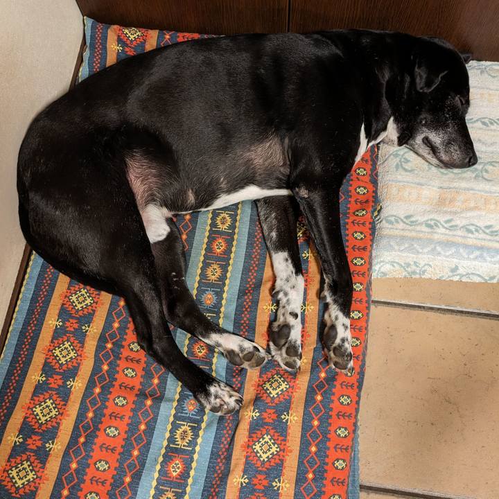 2dc6804f 6573 405e 9022 7d9915f02c2c 1715598992334