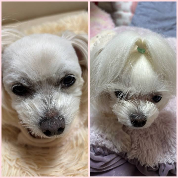 2dc6a093 0442 49b5 beab 96b7a11816b5 1769592874798