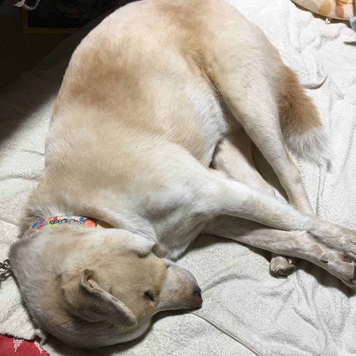 2dc6c375 35bc 43f3 b4a8 fc510e1978b0 1516278303005