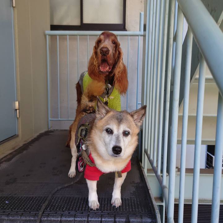 2dc6ca43 6ba8 4677 8117 e5083564bdcd 1701839077716