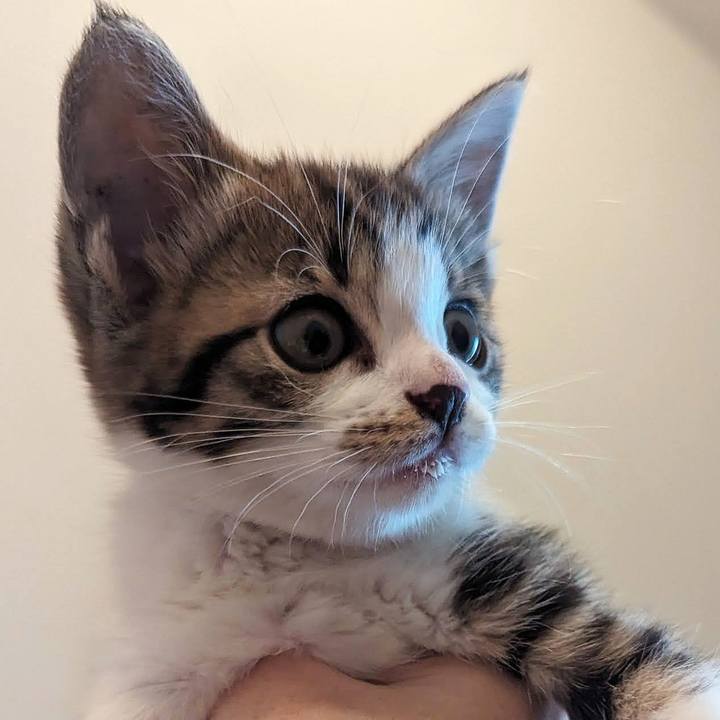 2dc70132 f688 4675 b6ef 9197ea5b0b2e 1718017519132