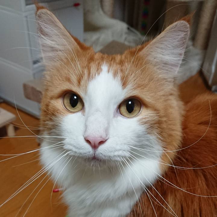 2dc70cd8 d397 43de 978b 63ed4e2e92c0 1576470830102