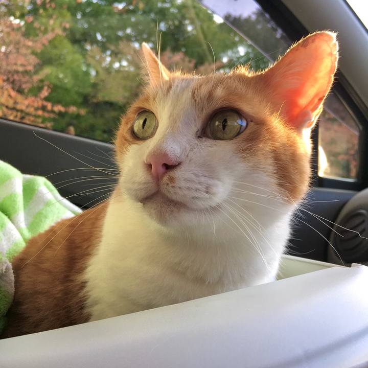 2dc76489 2b01 473d a192 3eac8e745193 1572607593439