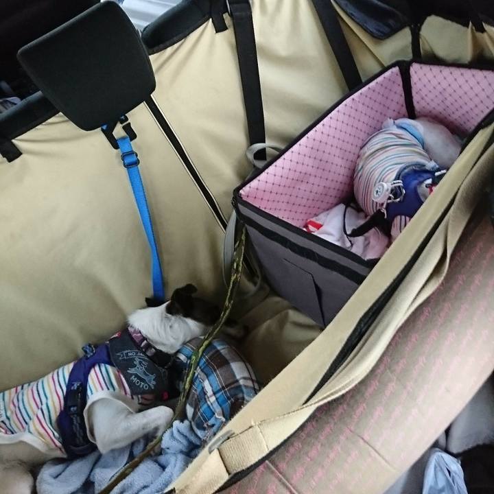 2dc77156 e183 4f7c 9e2a 06e496103081 1538909472008