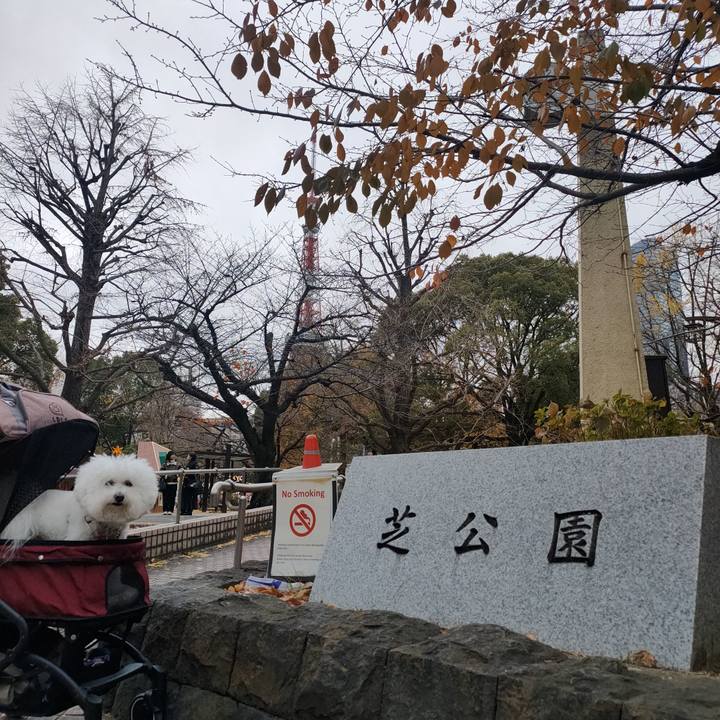 2dc7959c b661 43ea 9fdd 7d0d9ebf147a 1765696265870