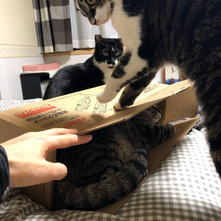 2dc7adb4 056a 449f 8a1d 85b4fe2e0c9d 1548427684958