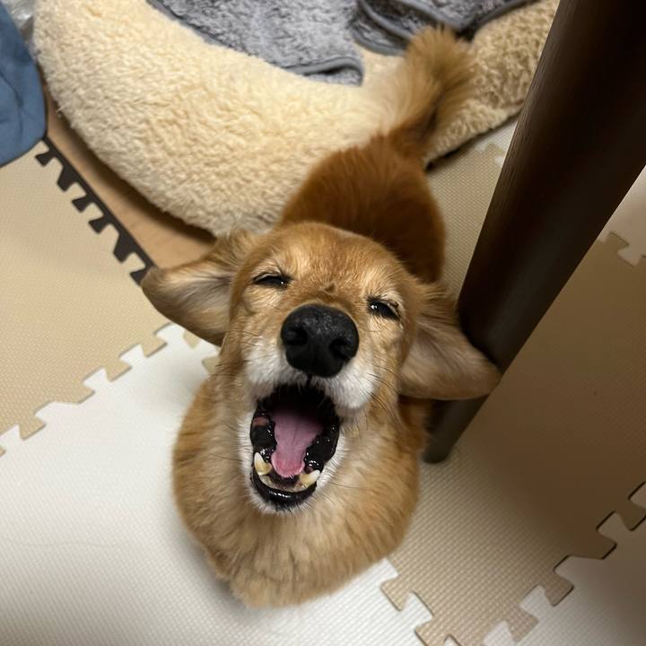 2dc7cdc0 4dfa 424f ac93 e94a32d094b7 1681738992497