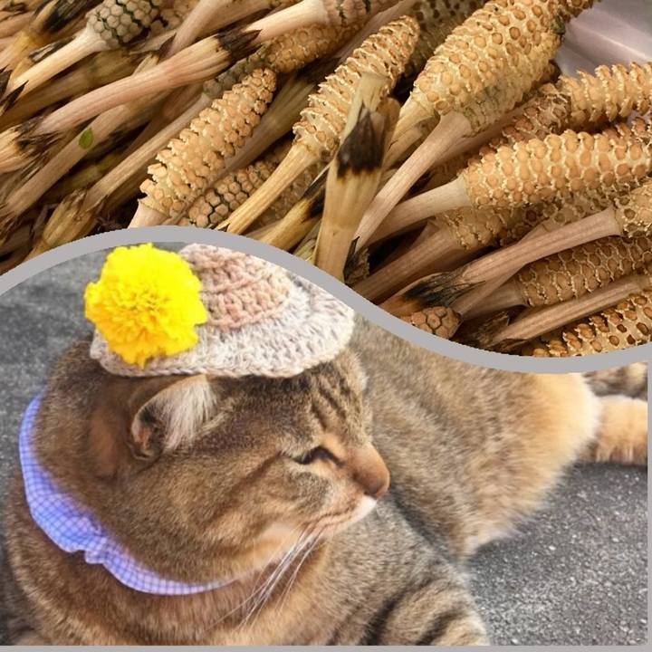 2dc7ea0d 5782 4a7c b0ef bffe4c67295c 1710310480628