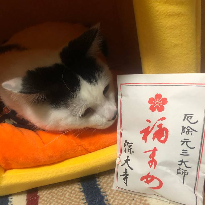 2dc80fbb e350 4aa4 af15 281e3e48fbd4 1580741824075